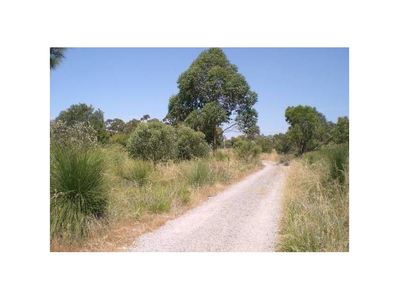 29 Satinover Way, Wandi WA 6167