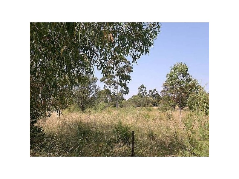 29 Satinover Way, Wandi WA 6167