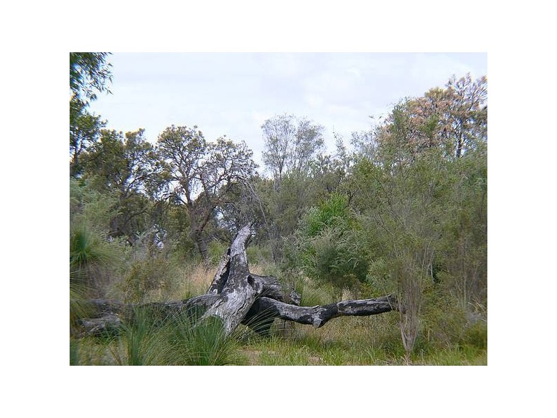 29 Britton Place, Wandi WA 6167