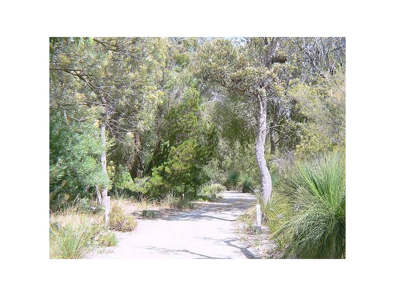 29 Britton Place, Wandi WA 6167