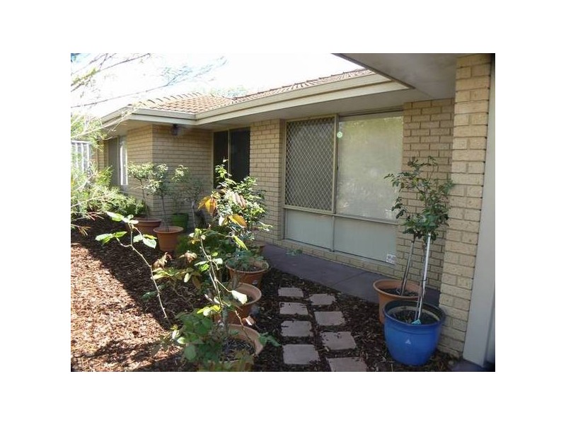 17 Wineberry Loop, South Lake WA 6164