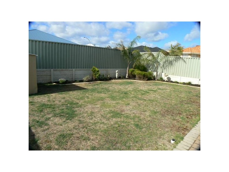 19 Nasturtium Gardens, Beeliar WA 6164