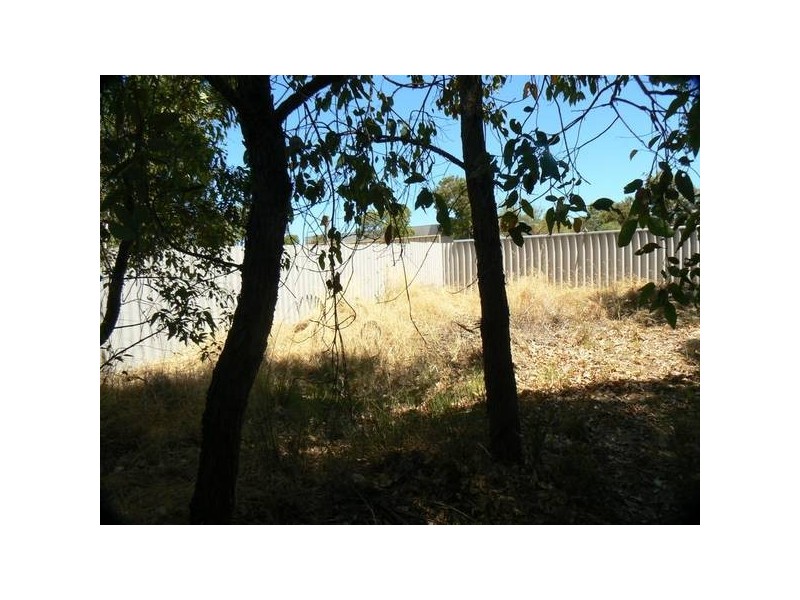 1 Grassbird Loop, Yangebup WA 6164