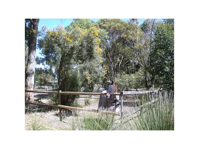 74 Wandi Drive, Wandi WA 6167