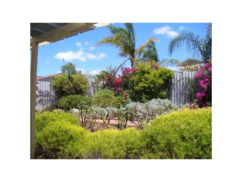 23 TORENIA WAY, Yangebup WA 6164