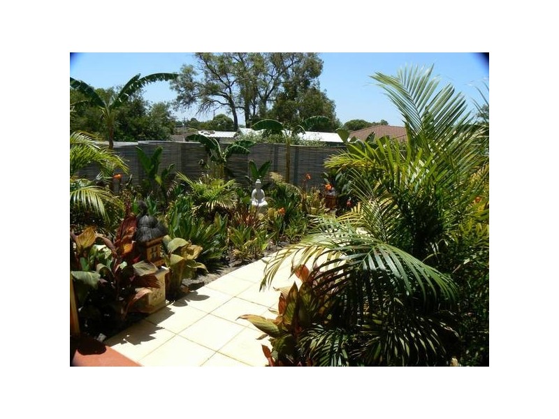 6 Rapania Rise, Yangebup WA 6164