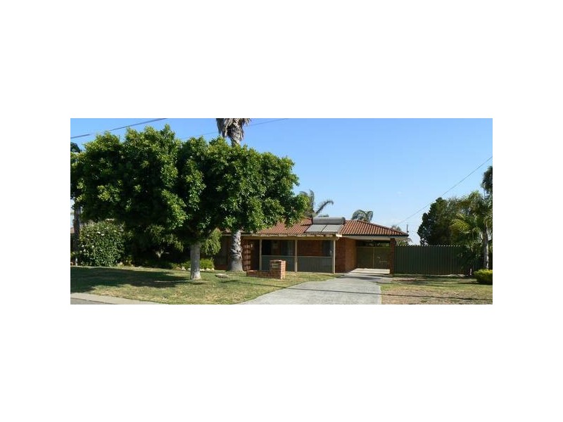 41 Seagull Way, Yangebup WA 6164