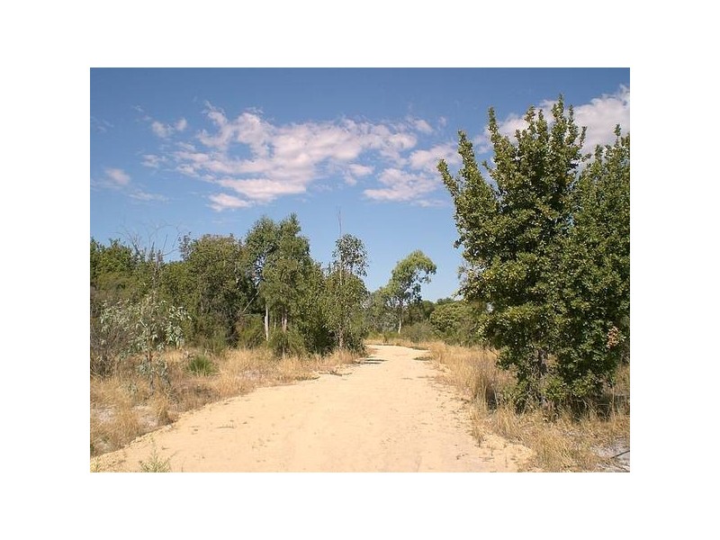 41 Leslie Road, Wandi WA 6167