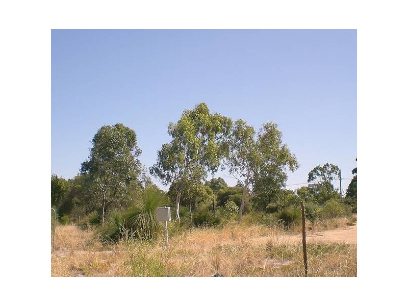 41 Leslie Road, Wandi WA 6167