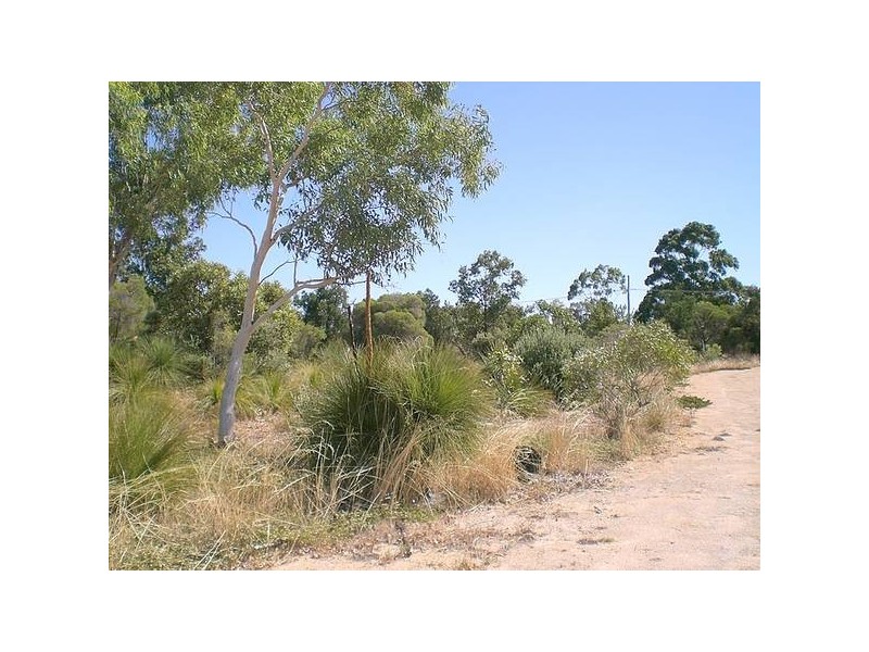 41 Leslie Road, Wandi WA 6167