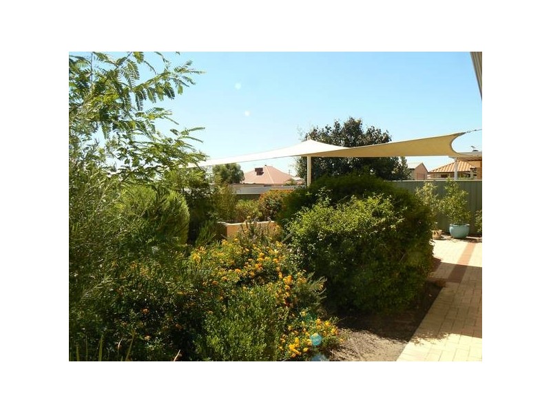 11 Lakeridge Drive, Jandakot WA 6164