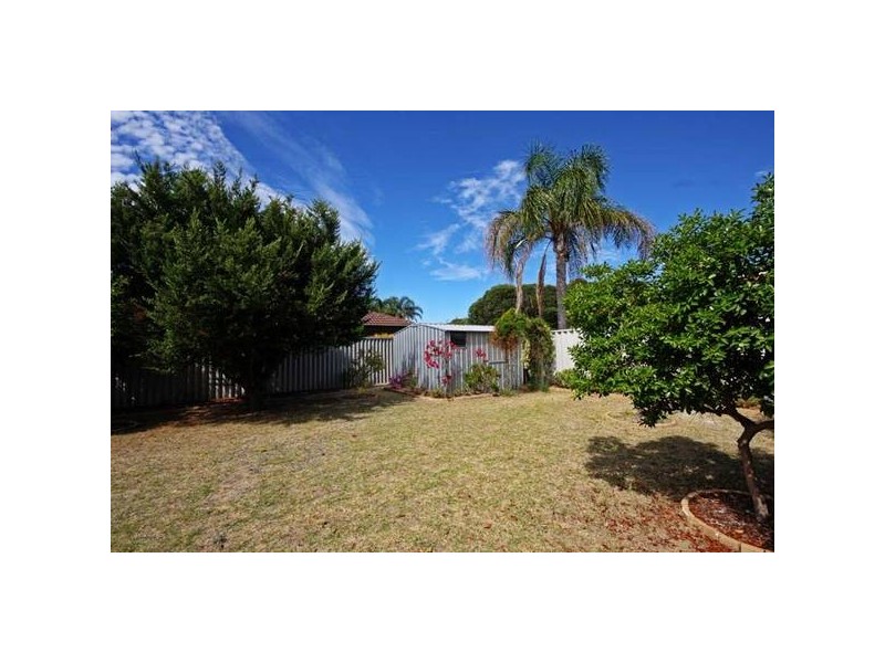 12 Bluebell Way, Bibra Lake WA 6163