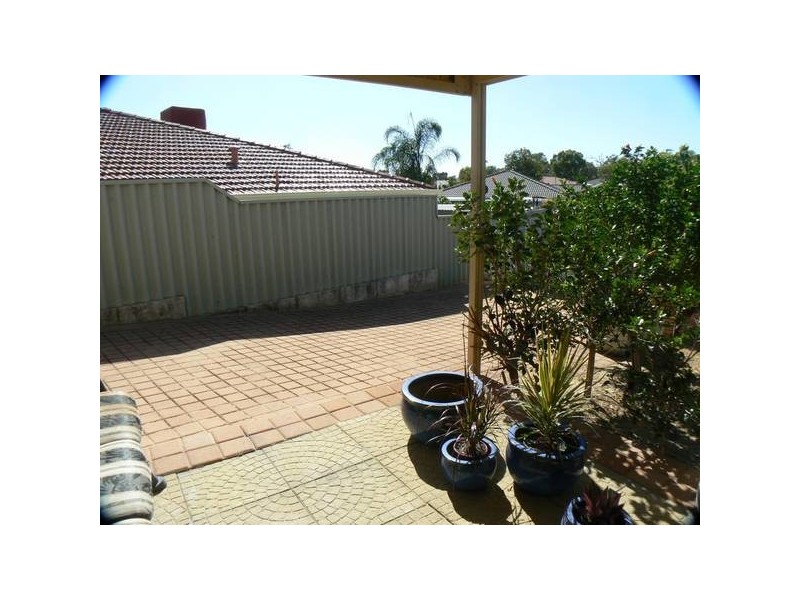 10 Ranunculus Court, Beeliar WA 6164