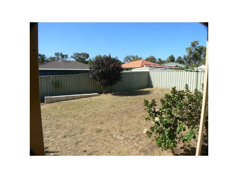 10 Ranunculus Court, Beeliar WA 6164