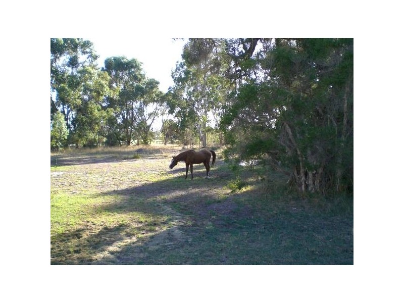 170 Leslie Road, Wandi WA 6167