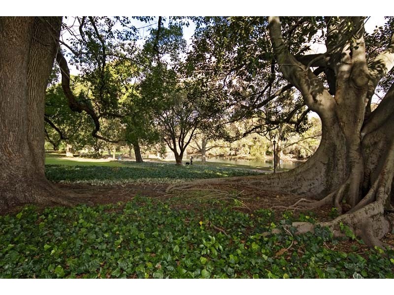 57/250 Beaufort Street, Perth WA 6000