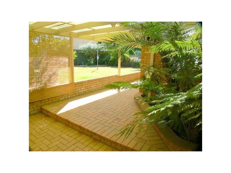 37 Ainslie Court, Kardinya WA 6163