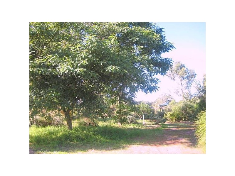 64 Satinover Way, Wandi WA 6167
