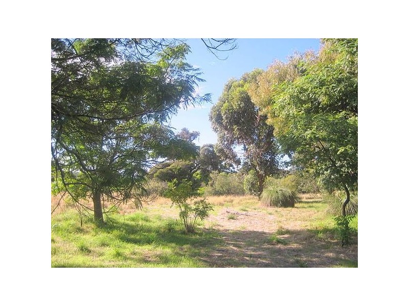64 Satinover Way, Wandi WA 6167