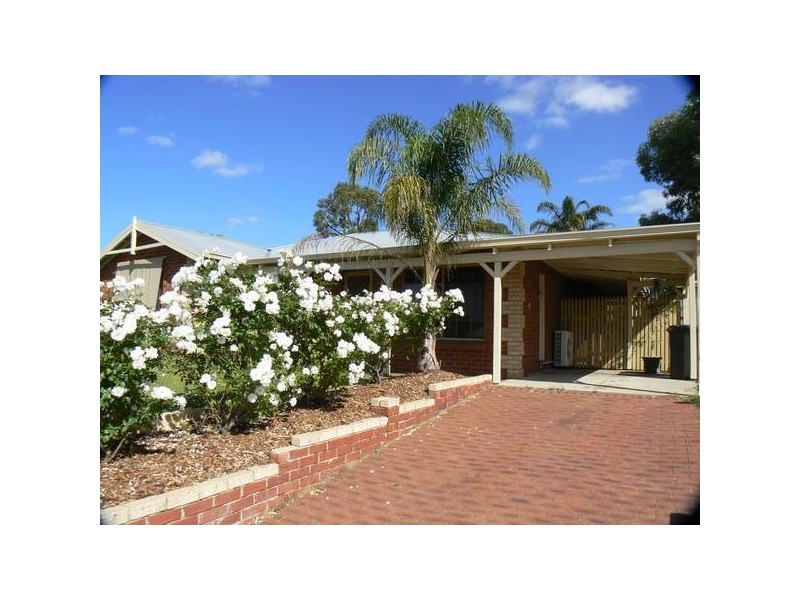 36 Williambury Drive, Yangebup WA 6164