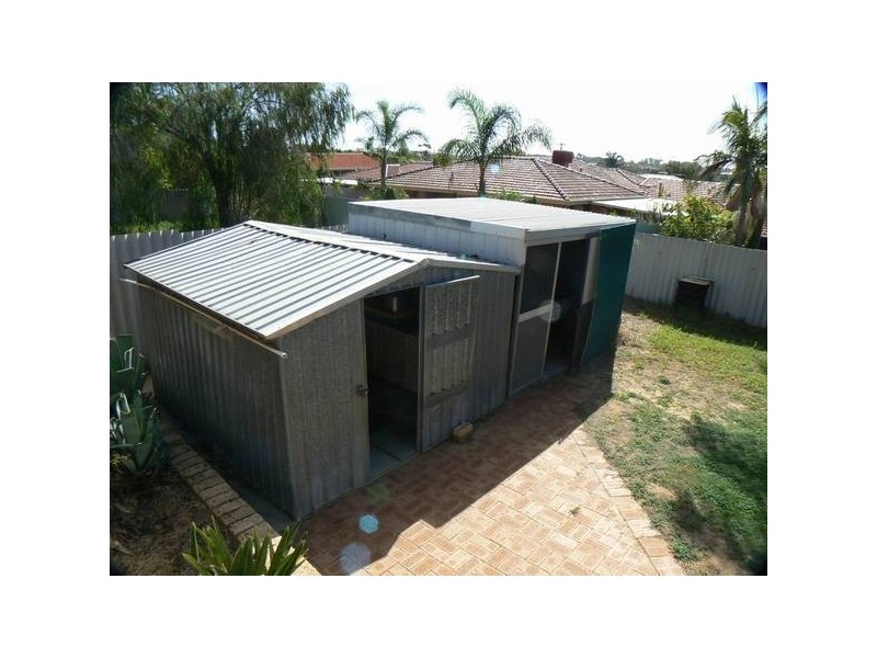64 Newton Street, Spearwood WA 6163
