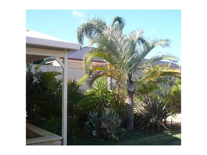 7 Breaden Pass, Success WA 6164