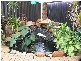 7 Teal Court, Yangebup WA 6164