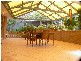 13 Gumina Place, Munster WA 6166