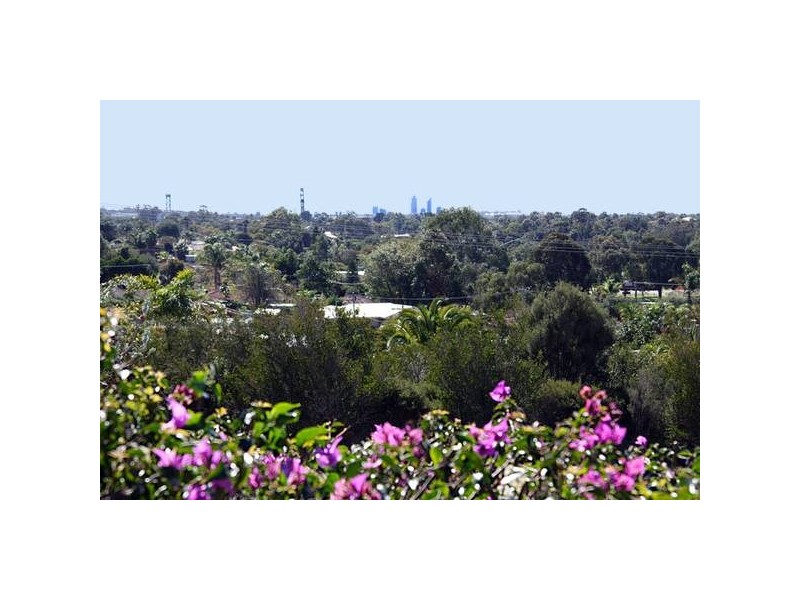 16 Goshawk Pass, Beeliar WA 6164