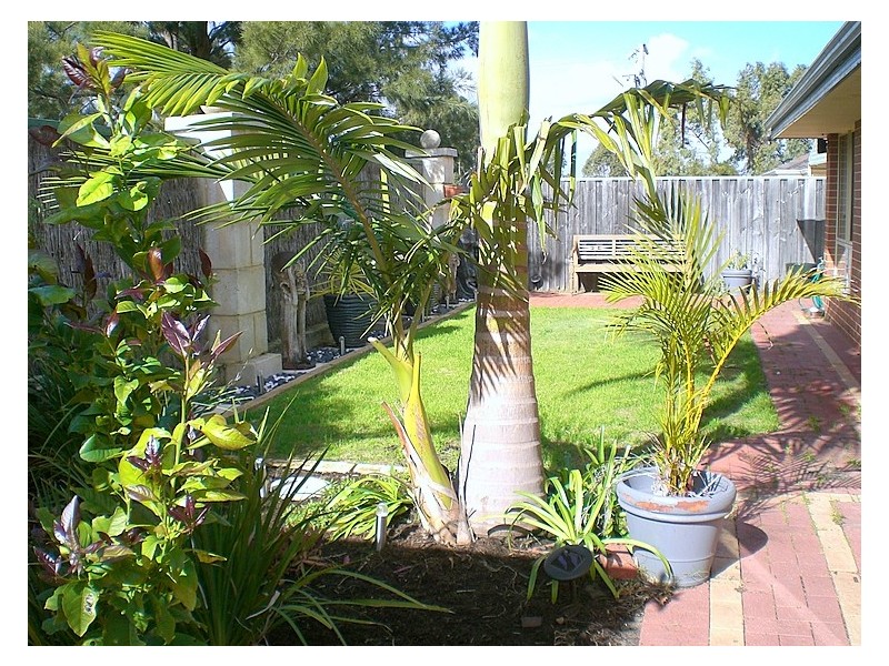 24 Laguna Green, Jandakot WA 6164