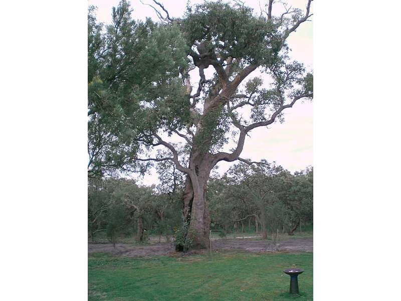 140 OLD DAIRY COURT, Oakford WA 6121