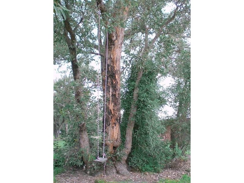 140 OLD DAIRY COURT, Oakford WA 6121