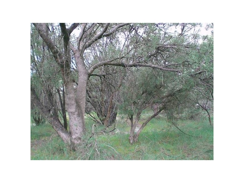 140 OLD DAIRY COURT, Oakford WA 6121