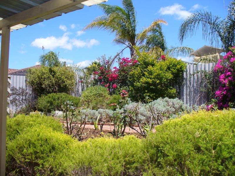 23 Torenia Way, Yangebup WA 6164