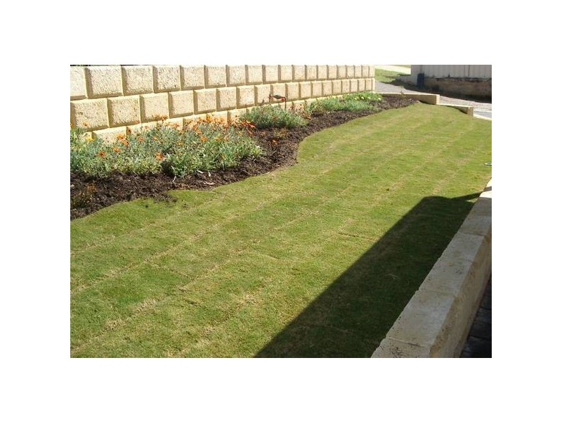 354 Hamilton Road, Spearwood WA 6163