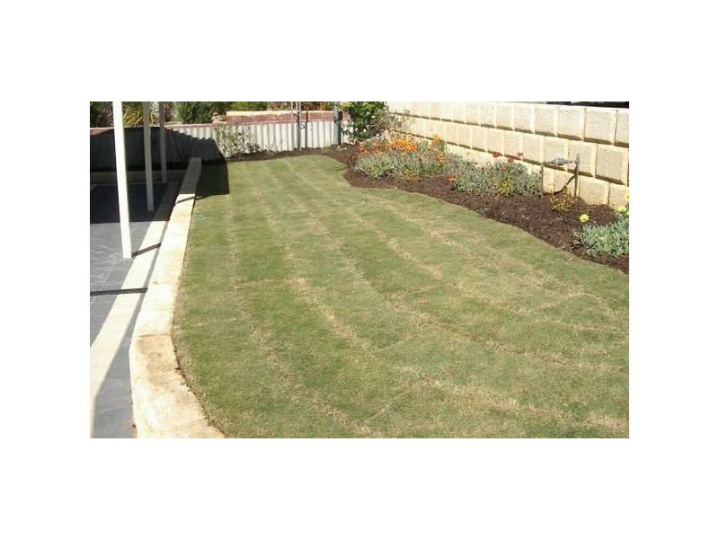 354 Hamilton Road, Spearwood WA 6163