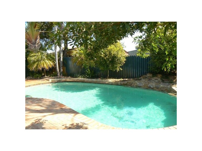 6 Tattler Place, Yangebup WA 6164