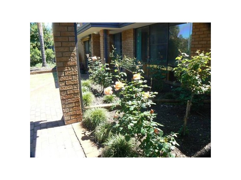 6 Tattler Place, Yangebup WA 6164