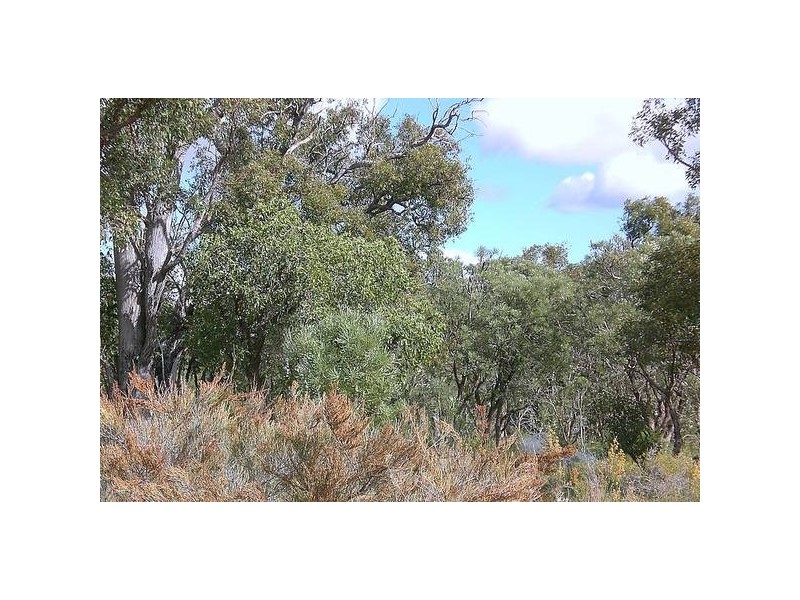 32 Scovell Crescent, Wandi WA 6167
