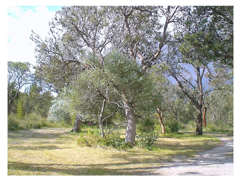 208 Wandi Drive, Wandi WA 6167