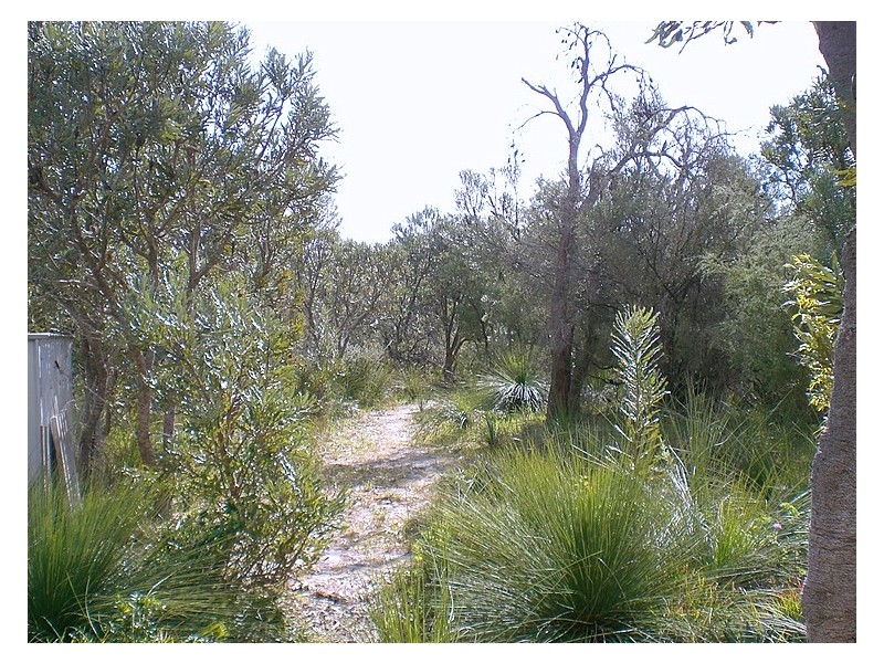 208 Wandi Drive, Wandi WA 6167