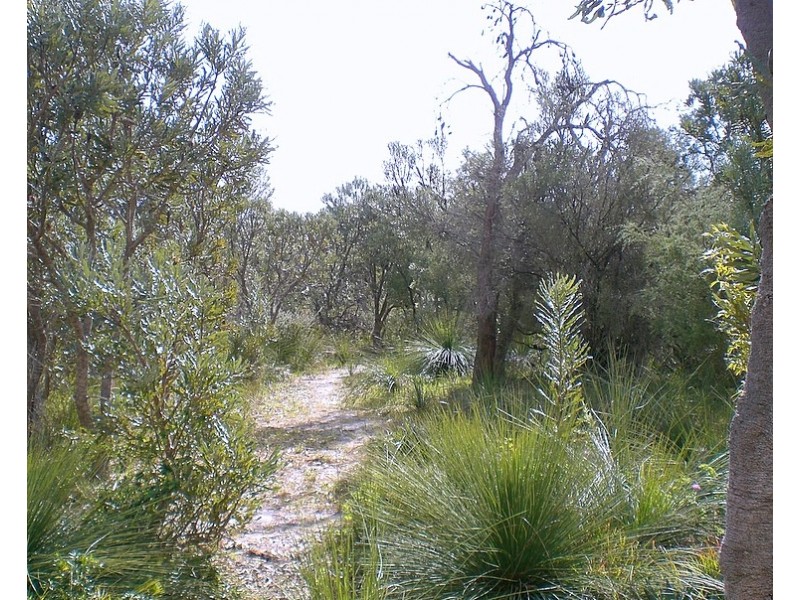 208 Wandi Drive, Wandi WA 6167