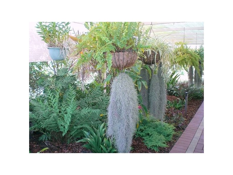 32 Scovell Crescent, Anketell WA 6167