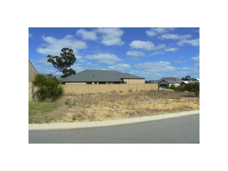 11 Friarbird Terrace, Beeliar WA 6164