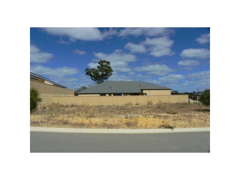 11 Friarbird Terrace, Beeliar WA 6164