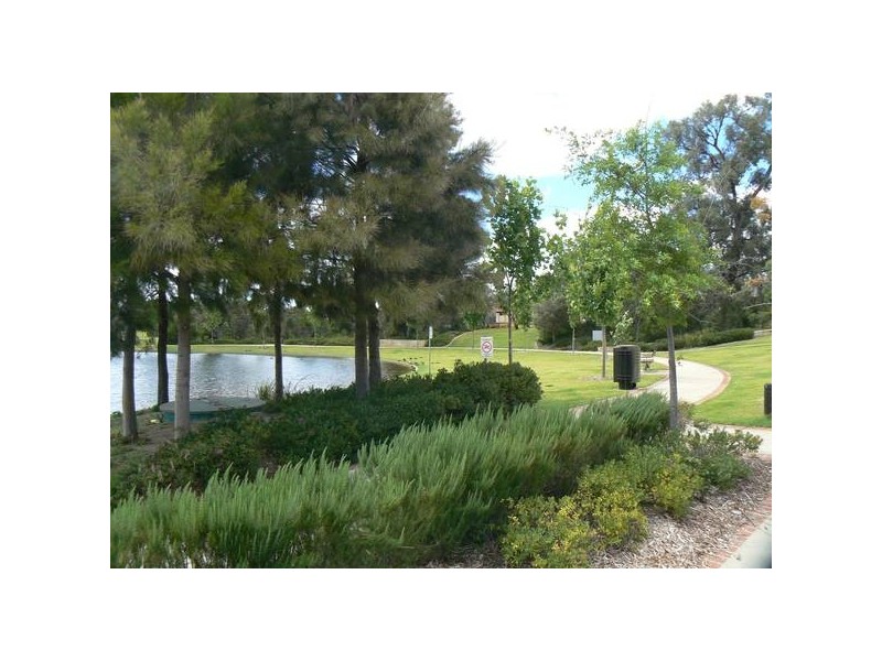 11 Friarbird Terrace, Beeliar WA 6164