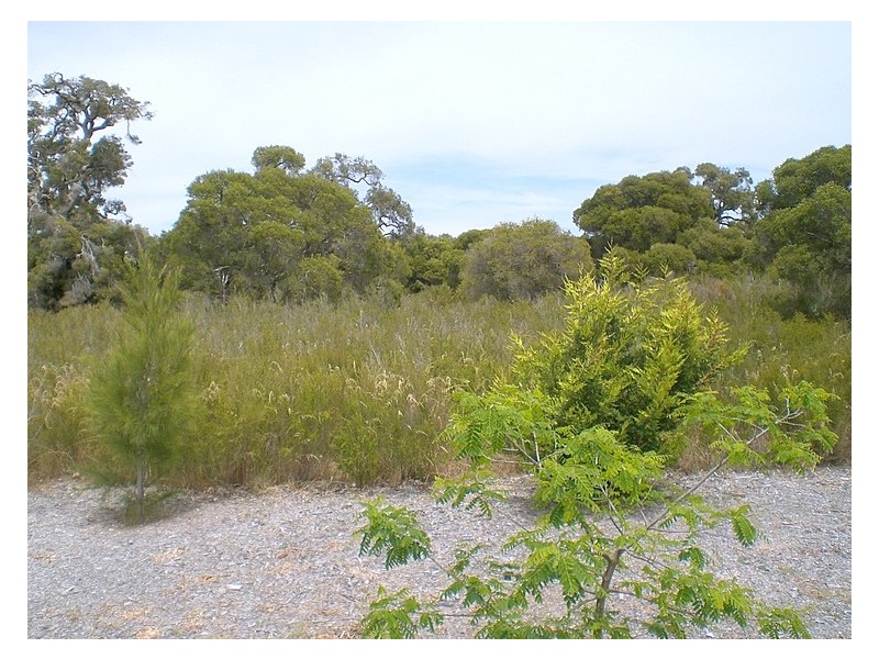 2 Cessna Drive, Jandakot WA 6164