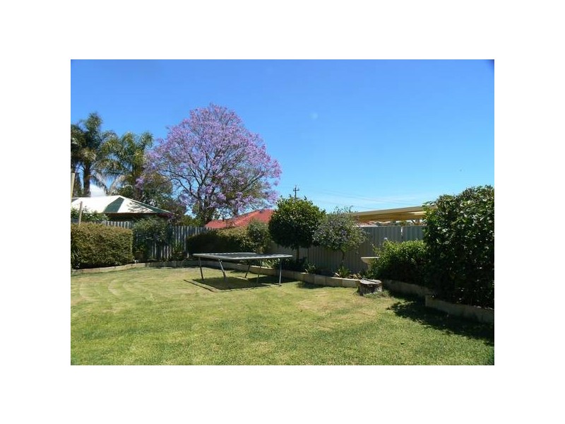 3 Osprey Drive, Yangebup WA 6164
