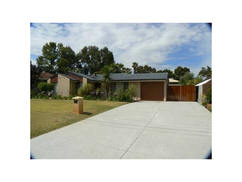 50 Osprey Drive, Yangebup WA 6164