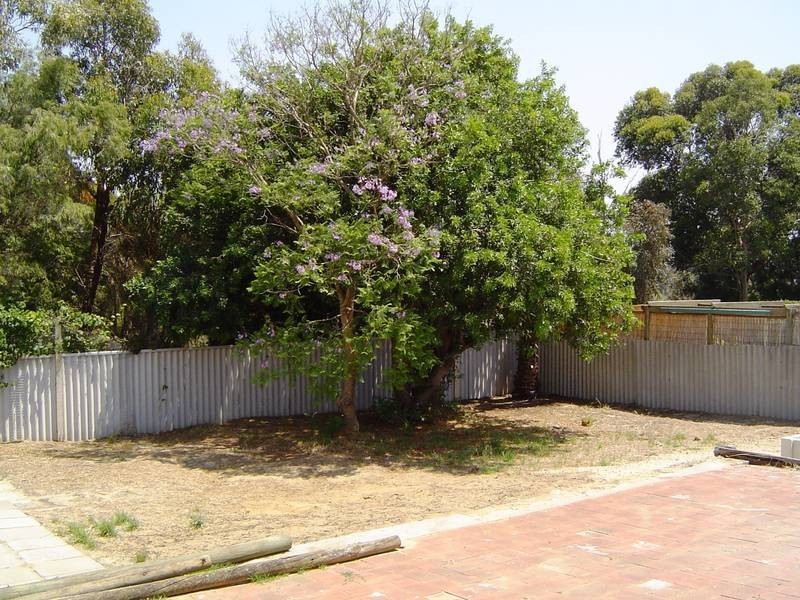 65 Plover Drive, Yangebup WA 6164